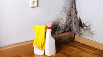 Schimmelentferner und Handschuhe an schimmiger Wand