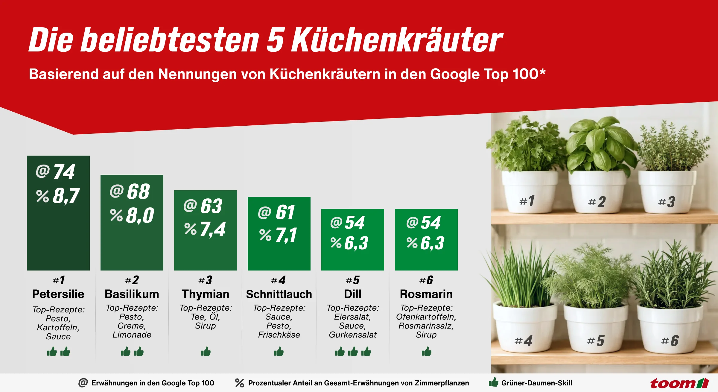 Infografik der beliebtesten 6 Küchenkräuter mit Balkendiagramm sowie Petersilie, Basilikum, Thymian, Schnittlauch und Rosmarin